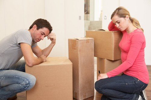 Efficient packing day preparation for a smooth relocation